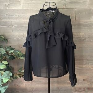 Ivivi Shear , long sleeve ruffled blouse size s/m